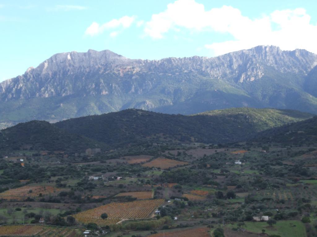 Agriturismo Locoe Oliena Exterior photo